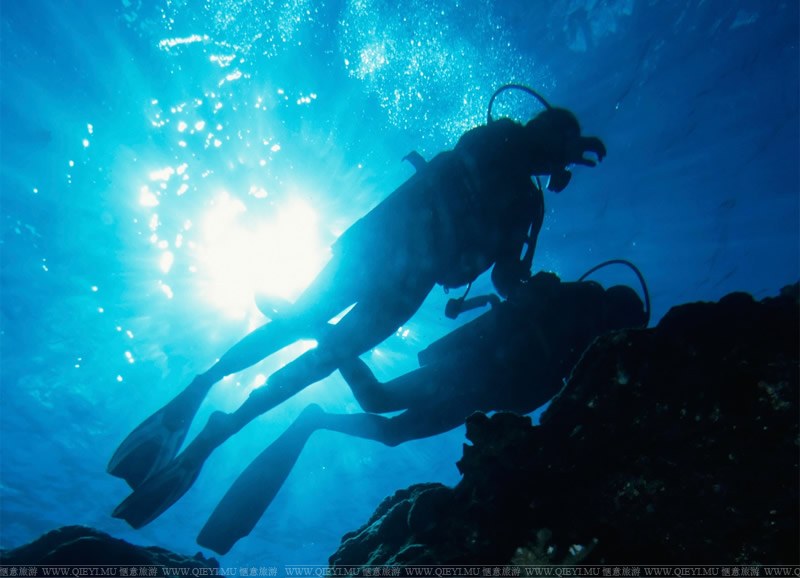 Mauritius-diving